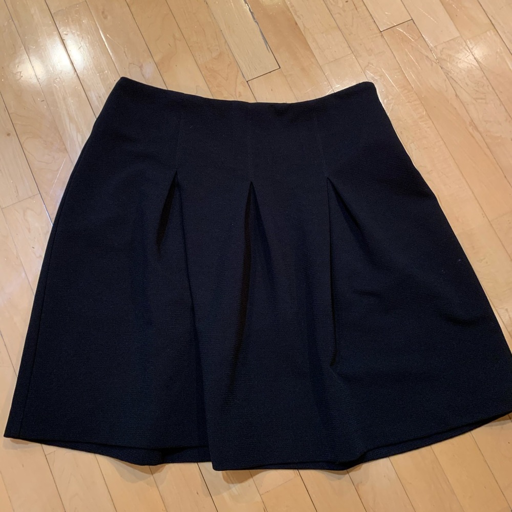 NWOT ALFANI Skirt